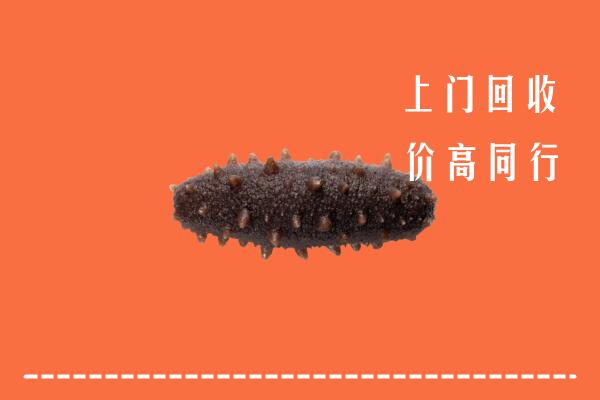 高价求购：宿迁回收海参