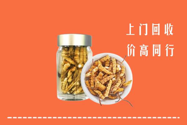 宿迁回收冬虫夏草